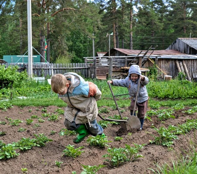 Работа в деревне: Работа в сельскомхозяйстве