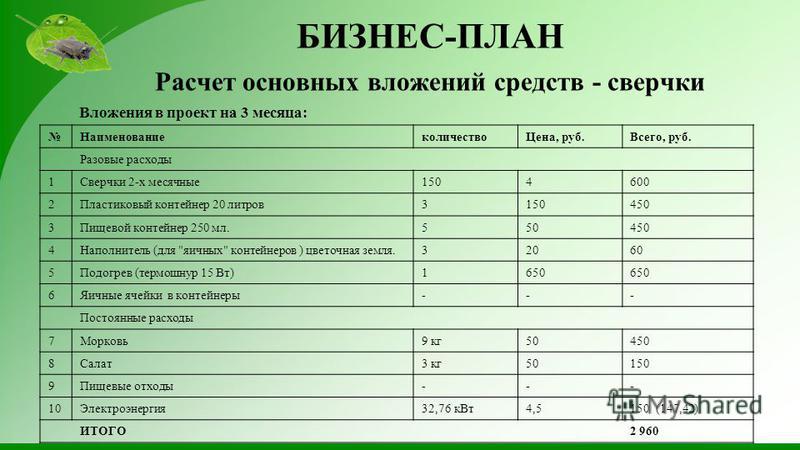 Бизнес план для продажи меда