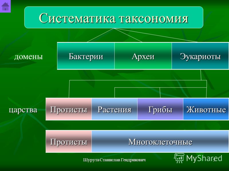 Что такое домен в телефоне и как его отключить