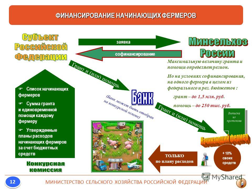 Гранты от государства 2023