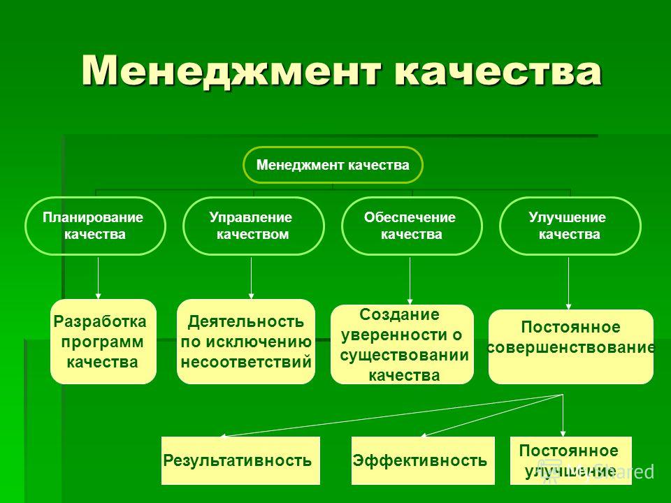 Обеспечение менеджмента