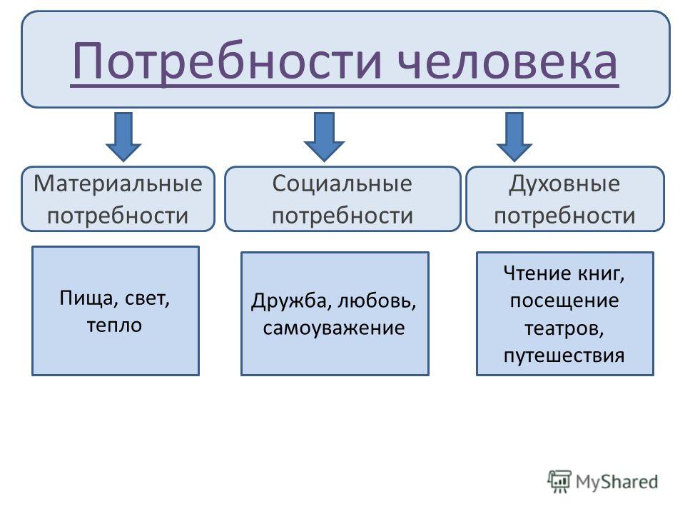 Проект потребности человека 6 класс обществознание