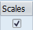 Pricing Conditions Master Data - Entry Screen > Scales Checkbox