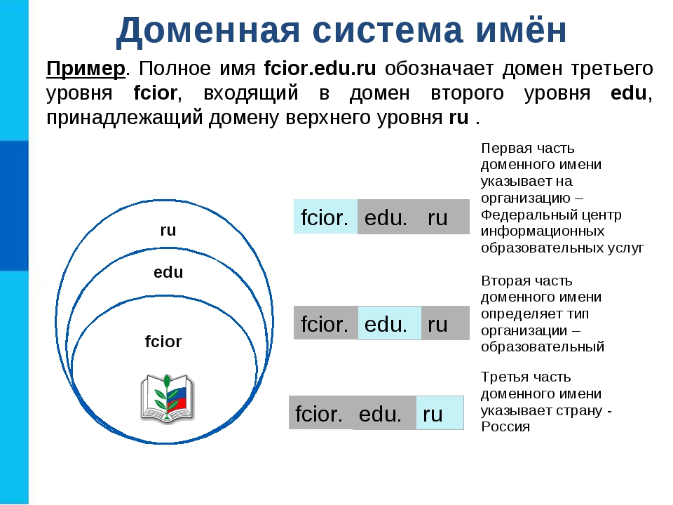 Доменная система презентация