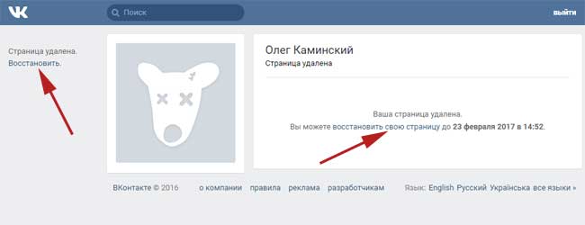 Как восстановить удаленную фотографию в вк на странице