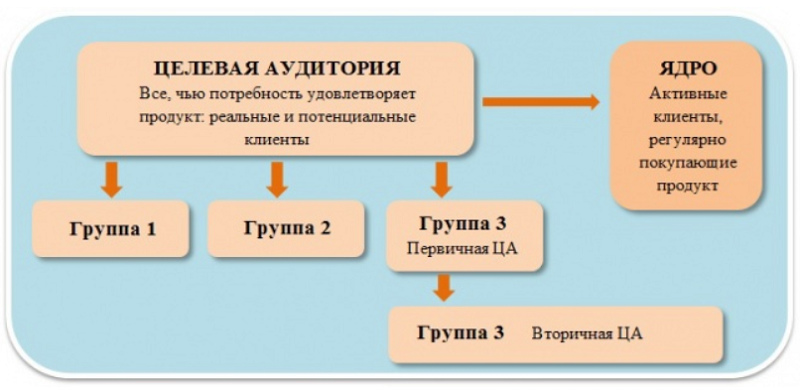 Типы ца. Виды целевой аудитории. Целевая аудитория схема. Ядро целевой аудитории. Целевая аудитория это в маркетинге.