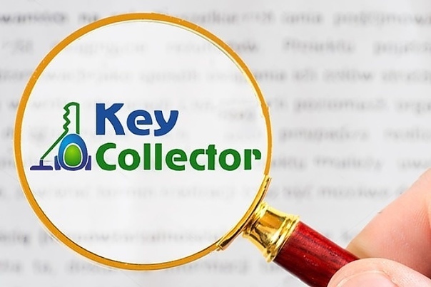 Как из key collector выгрузить в excel