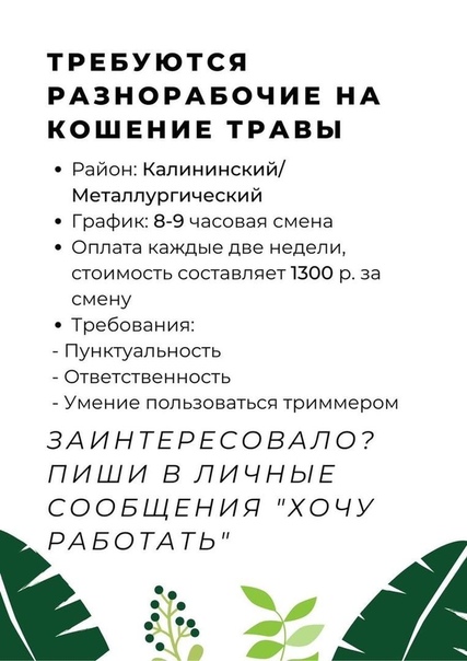 Работа с выплатой каждый день: Вакансии и работа : «подработка оплата