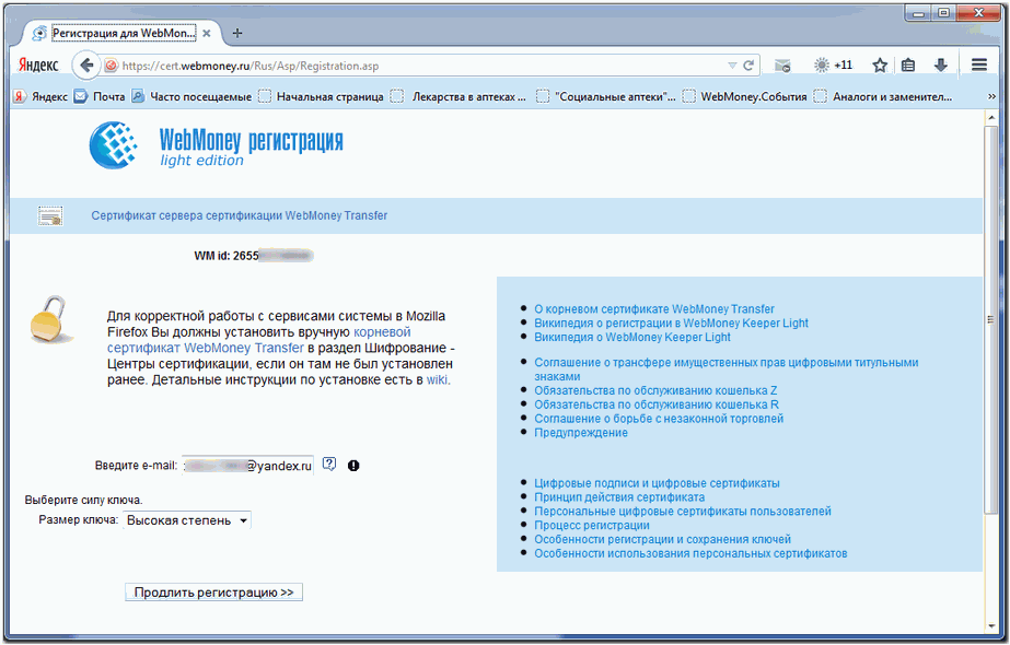 Webmoney регистрация в казахстане. Вебмани Лайт. Логин WEBMONEY. Keeper WEBPRO. WEBPRO.